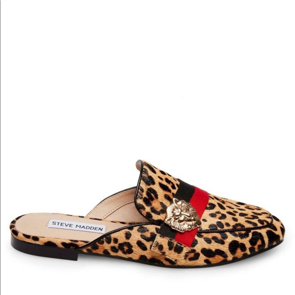 Shoes Steve Madden